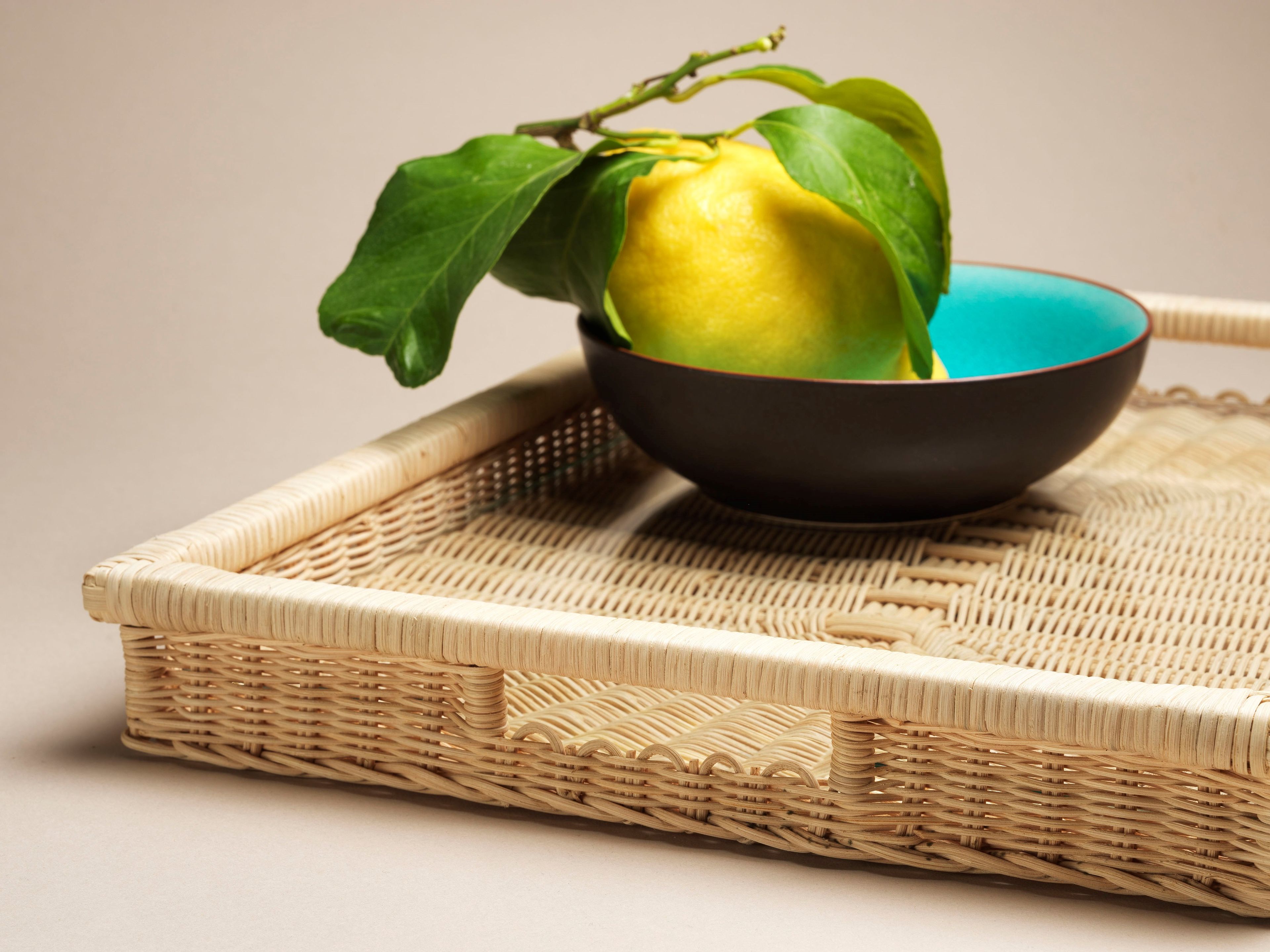 ARCH-00016783 Лоток для хранения яиц Mila Maurizi Мизансцены