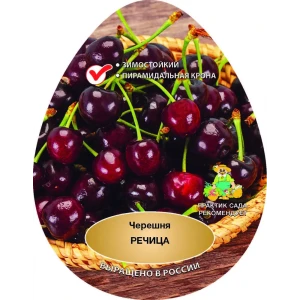 Черешня Речица сетка h200 см 87737963 STLM-2076750