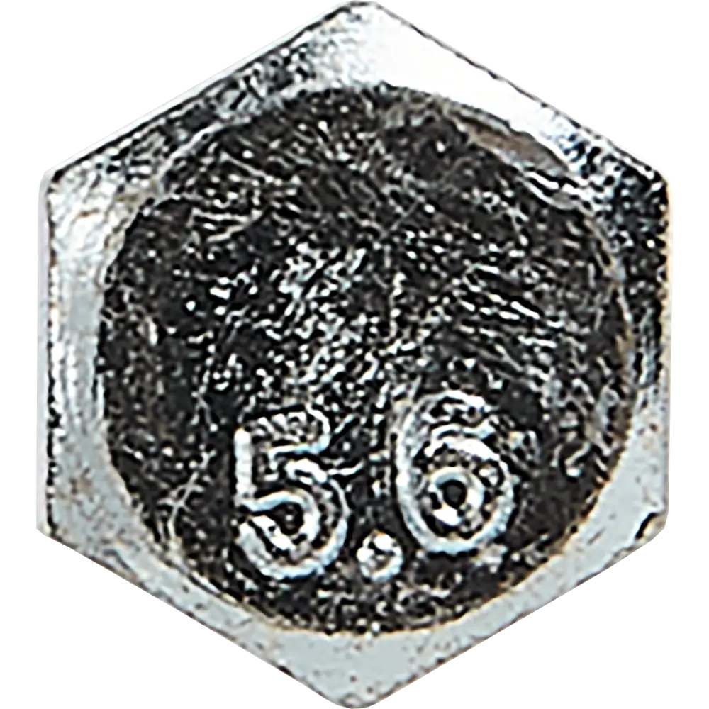 Болт сантехнический оцинкованный DIN 571 6х60 13458248 STLM-2071962 Santreyd  - Вид №1