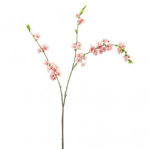 210312-56 ABHIKA СПРЕЙ ВИШНЕВОГО ЦВЕТА X4 DARK PINK