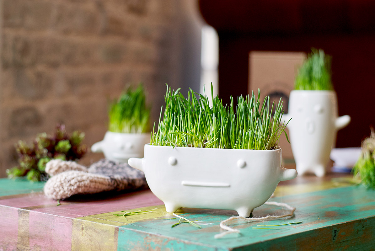 Набор для выращивания Eco Буль ЭКОЧЕЛОВЕКИ 8002 - Вид №3