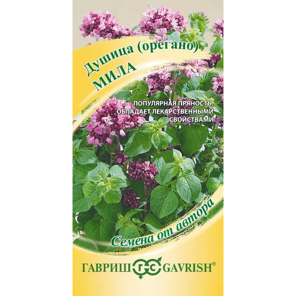 Семена зелени душица Мила ГАВРИШ STLM-2071217