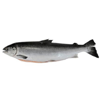 Семга Атлантическая охлажденная 4 - 5 кг Santreyd 11715 - Вид №1