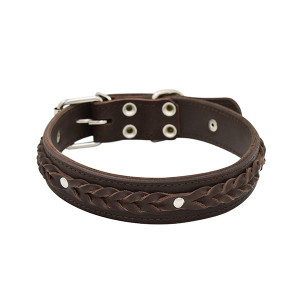 ПР0048209 Ошейник для собак Колосок 2сл 36мм 60см коричневый ZOOEXPRESS