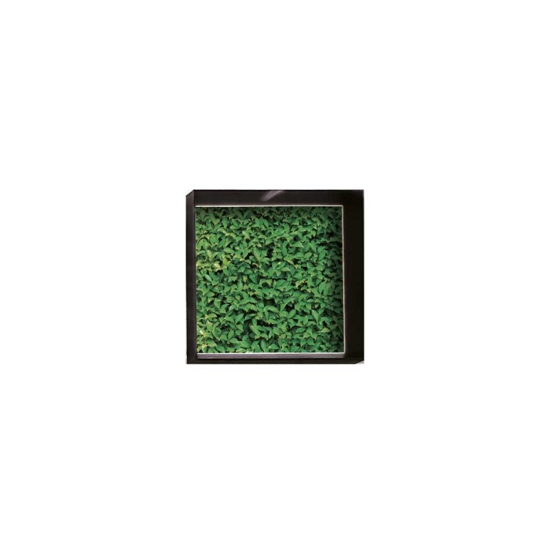 F124CX68 Vip фоторамка Murales или Pictures Adriani e Rossi матовый черный  - Вид №2