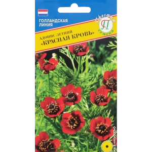 Семена Адонис «Красная Кровь» 83227054 STLM-2118637