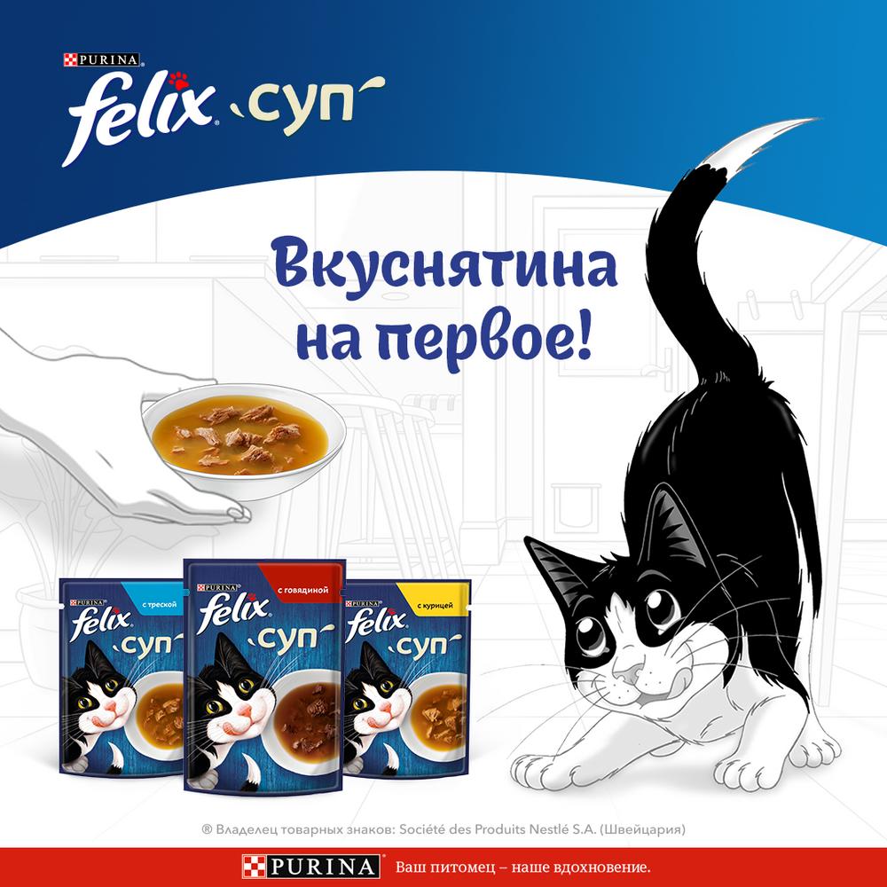 ПР0048794 Корм для кошек Суп с курицей, пауч 48 г FELIX  - Вид №2