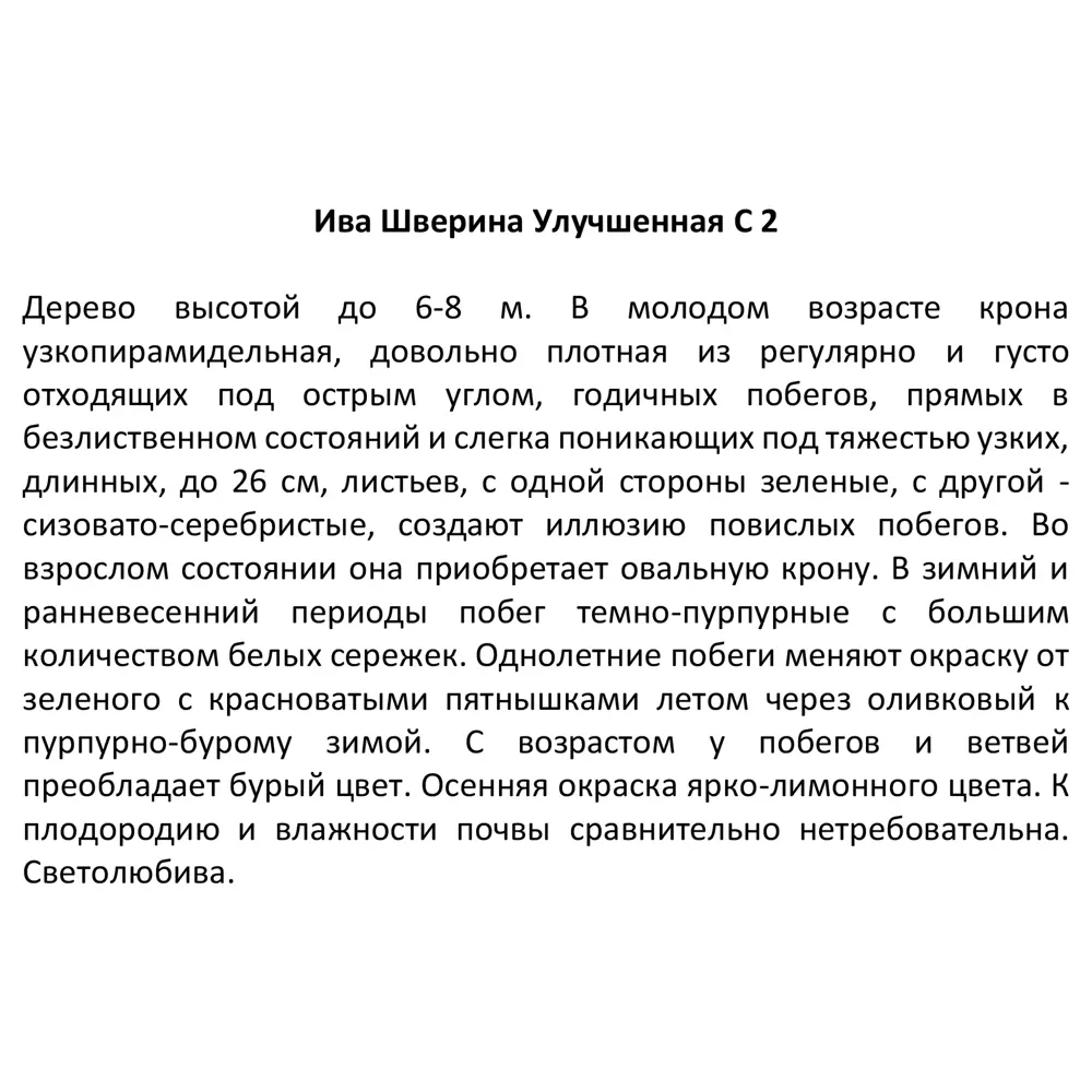 Santreyd Ива декоративная с плакучей кроной 80 см 87811881 STLM-0075780 - Вид №2