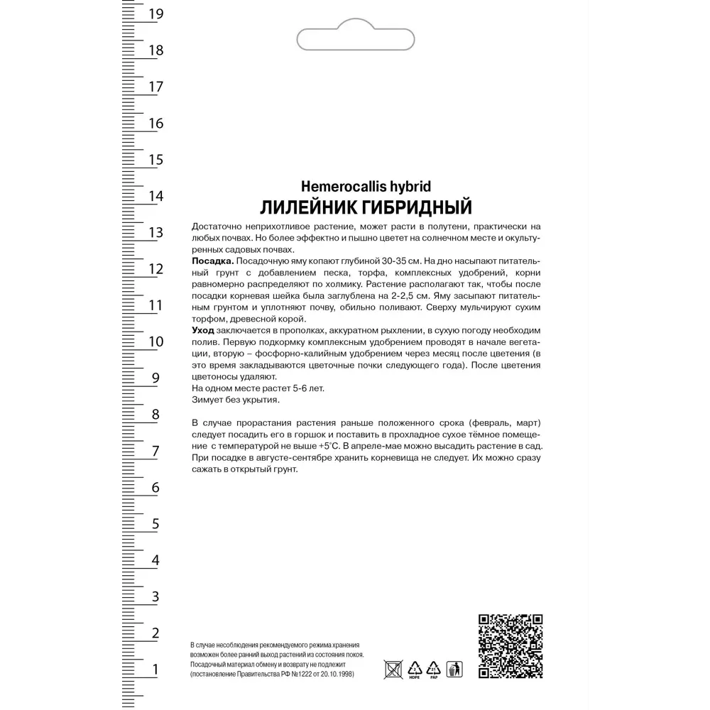 Лилейник гибридный Франс Халс 82530245 STLM-2114969 Santreyd  - Вид №1