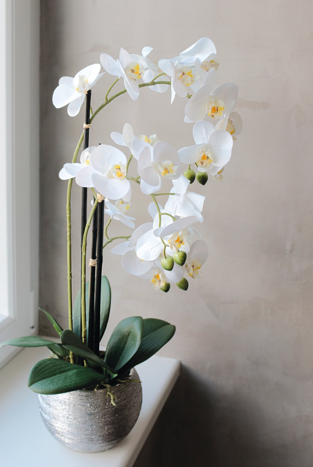 2778 778 a3 Пластиковая орхидея Phalaenopsis, 3-х кратная, горшечная, 55 см, real touch, бежево-белая H-andreas  - Вид №11