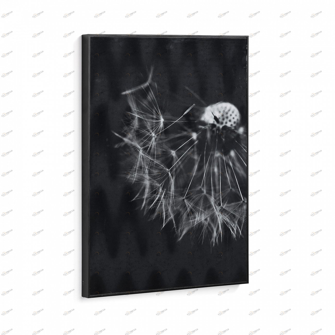 Картина черная с белым "Одуванчик" 70х50 см Calantha от La Forma LA FORMA CALANTHA 00-3865167 Черный 