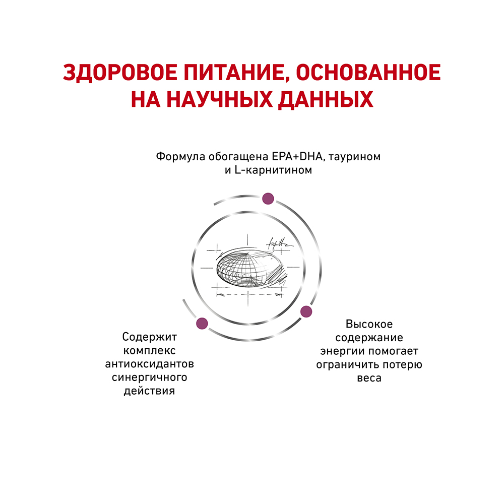 Т0023218 Корм для собак Vet Diet Cardiac EC26 при сердечной недостаточности сух. 2кг ROYAL CANIN  - Вид №3