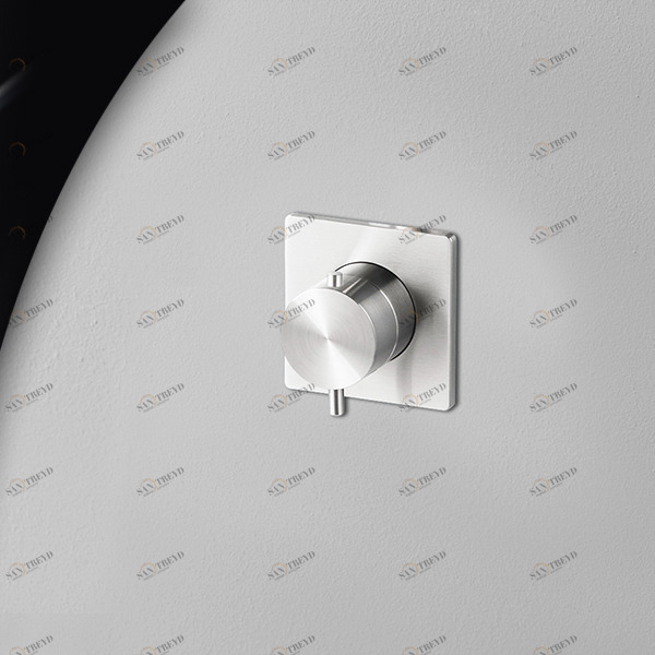 Термостат для душа сталь глянцевая AICO Radomonte TER90l