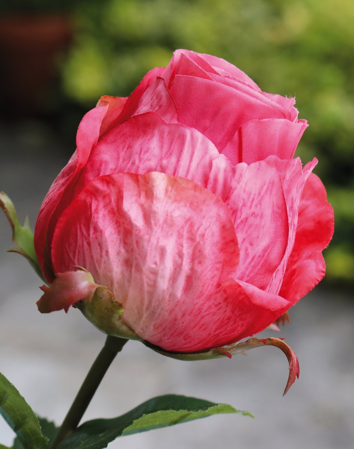 2628 515 a3 Искусственная роза, 1 цветок, 1 бутон, 80 см, розовая H-andreas  - Вид №5