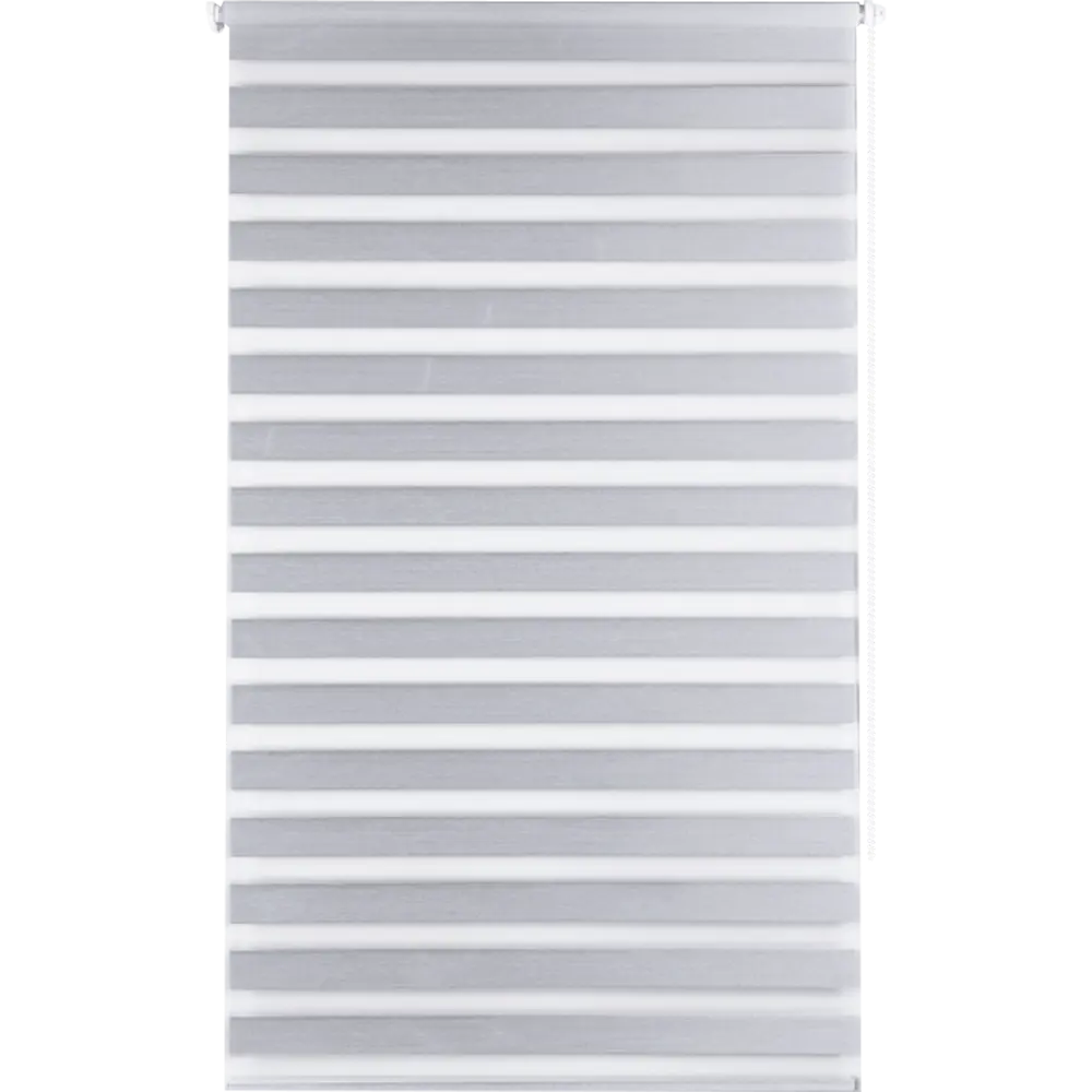 Штора рулонная день-ночь блэкаут Miamoza  55x160 см серая Santreyd STLM-2078836