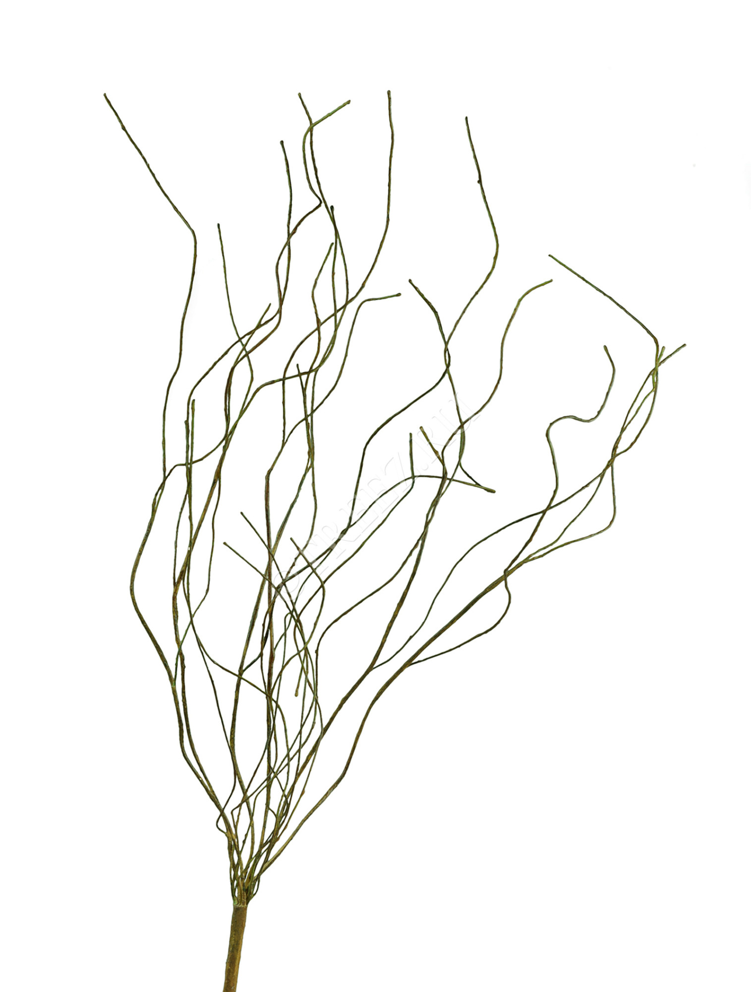 30.03080114O Ветка зелёная 85 см Цветочная коллекция 