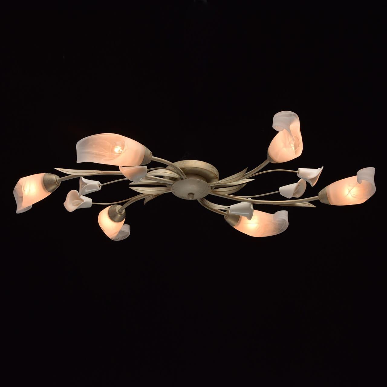 Потолочная люстра MW-Light Восторг 242016906 MW-LIGHT ВОСТОРГ 184221 Белый  - Вид №3