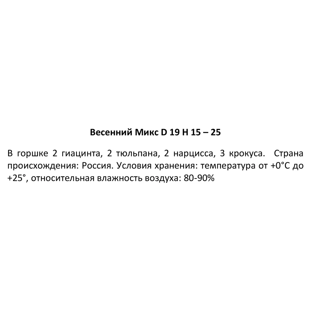 Луковичный весенний микс ø19 h15-25 см 86712025 STLM-2144194 Santreyd  - Вид №3