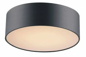 Потолочный светильник Favourite Cerchi 1514-2C1 FAVOURITE CERCHI 082440 Черный