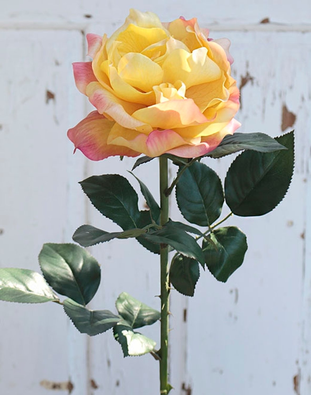 2312 304 a2 Шелковая роза колумбия, 80 см, real touch, желто-красная H-andreas 