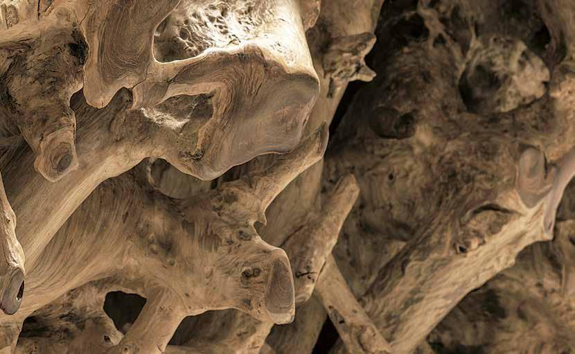 Il Giardino di Legno Прямоугольный стол для гостиной Radice Radi04c4 - Вид №1