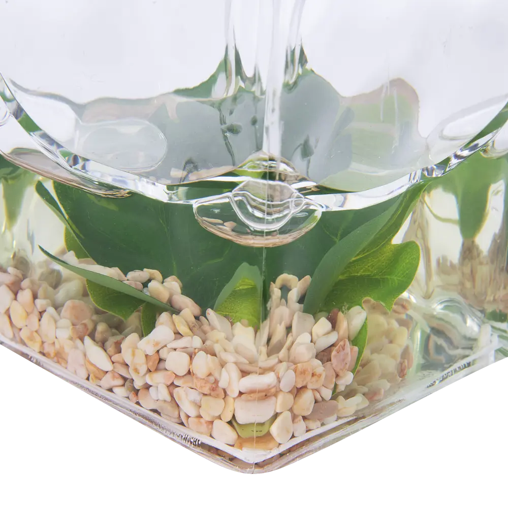 Стакан для зубных щёток Monstera VERRAN STLM-2120480 - Вид №1