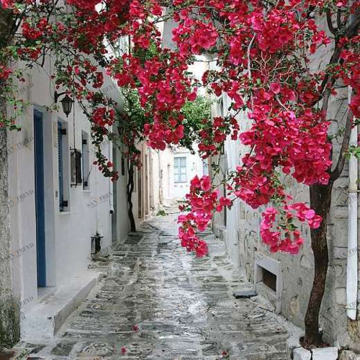 L-116 Фотообои DIVINO L&P 2х2.7 м L116