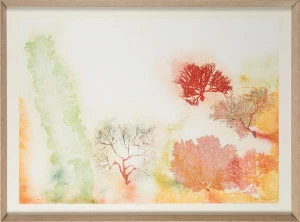 NOVOCUADRO ART COMPANY Бумажный каркас Ana matías