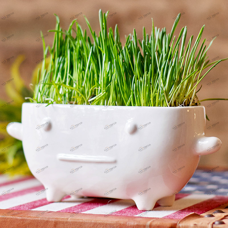 Набор для выращивания eco "Буль" ЭКОЧЕЛОВЕКИ  254568 Белый 