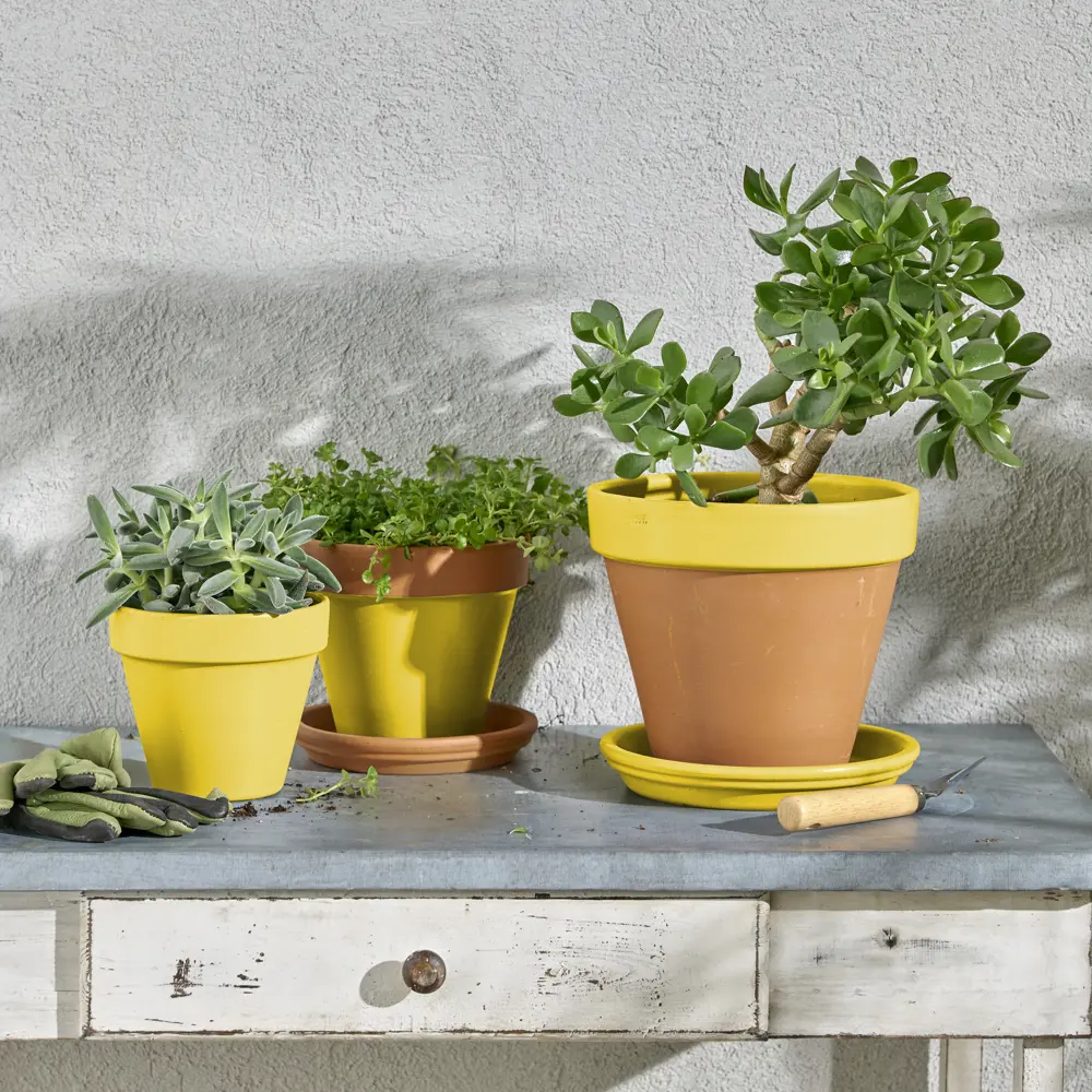 Аэрозольная эмаль Luxens для интерьера и экстерьера - желтый сатин 520 мл 83237371 STLM-0039729 - Вид №5