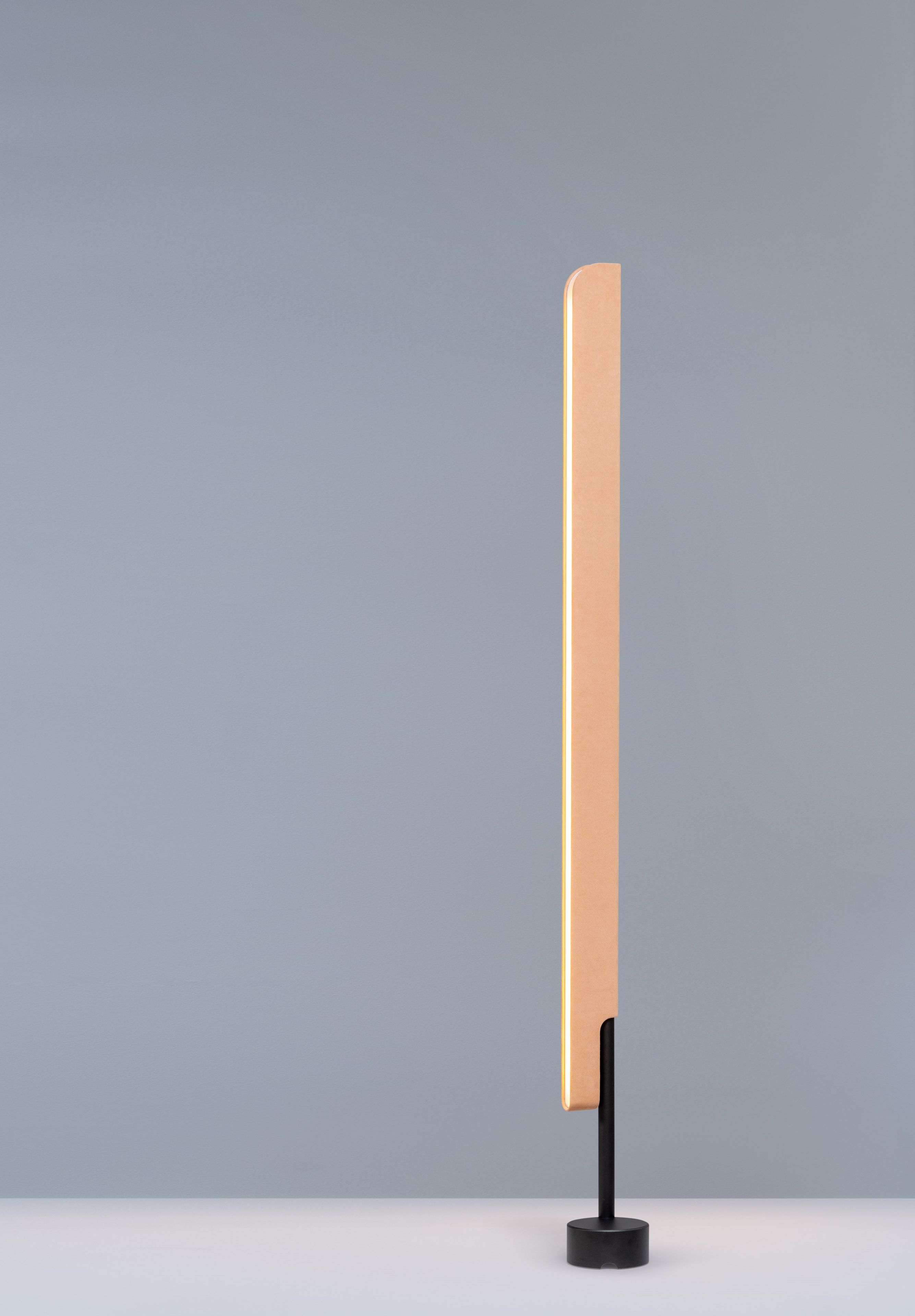 Регулируемый светодиодный торшер Formagenda профиль ARCH-00068506 - Вид №27