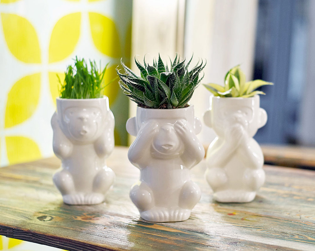 Горшок для растений Eco Слепыш ЭКОЧЕЛОВЕКИ 2001 - Вид №3