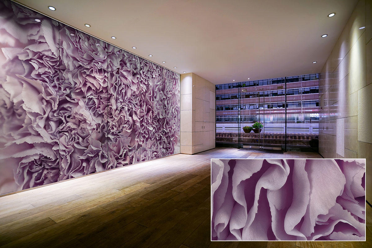 FSRT380 Стекло Vivispectra Zoom с прослойкой echeveria elegans Forms-surfaces  - Вид №11