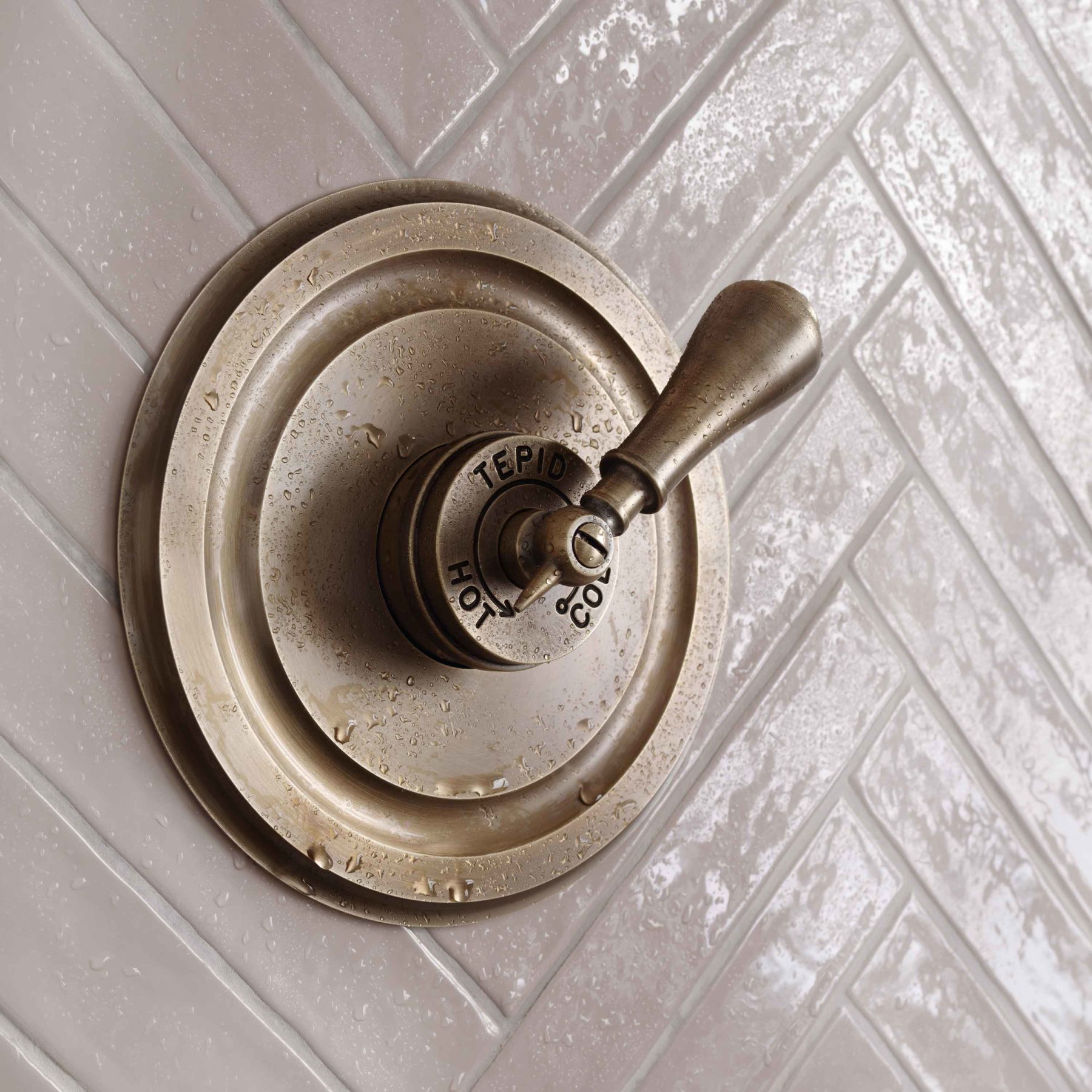 Concealed душ Le Thermo Concealed Catchpoleandrye  - Вид №2