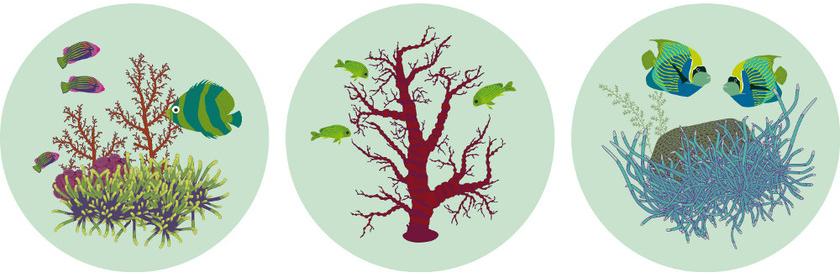 CONCEPTUWALL Декор из клейкой ткани Nautilus sun-id-1488444 - Вид №1