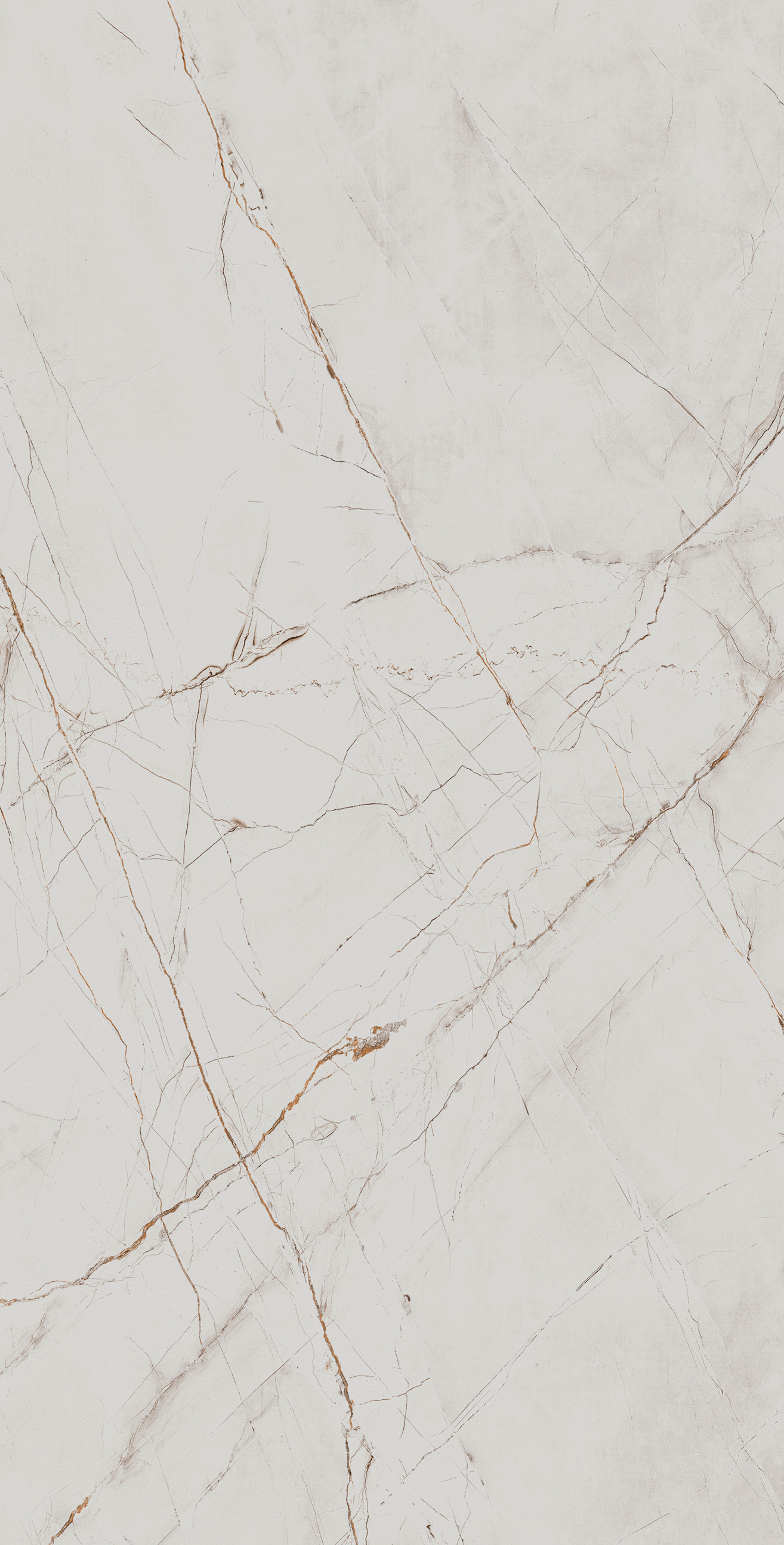 Керамогранит VALENCIA SILVER GREY 60х120 Arcadia Ceramica CR4027-A - Вид №2