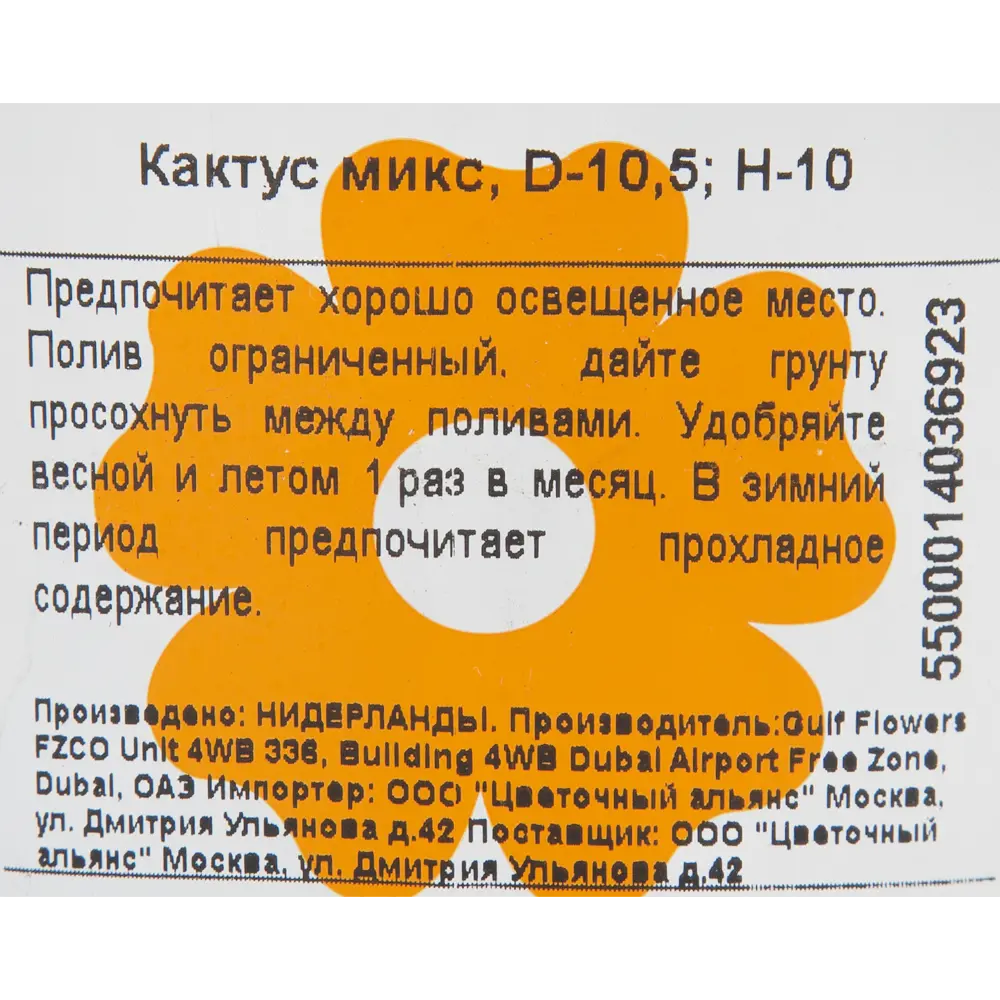 Santreyd Кактус микс - вечнозеленый суккулент для интерьера 82894897 STLM-0037677 - Вид №2