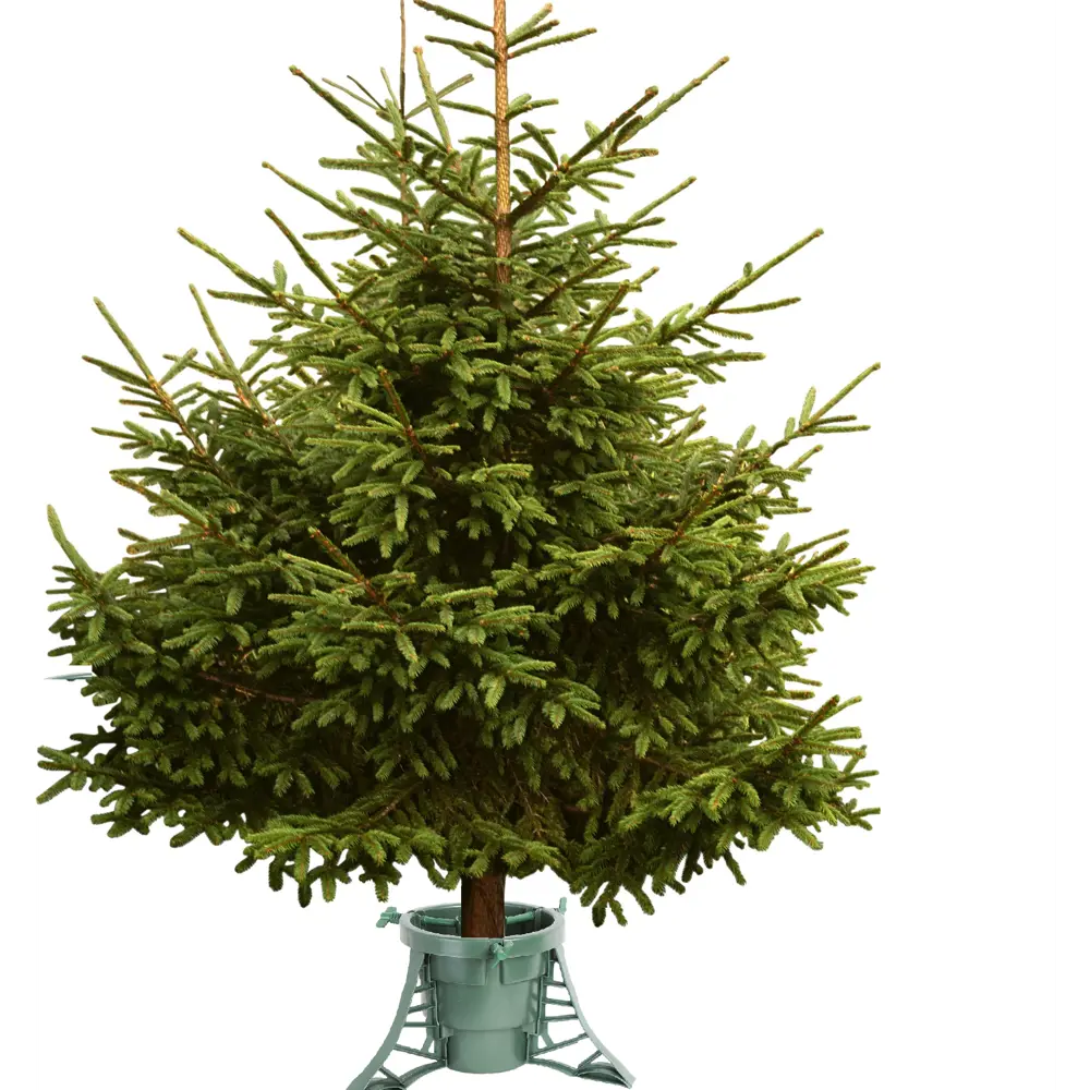 Подставка для ели Santreyd Космос - надежная опора для новогодней красавицы 84382875 STLM-0964819 - Вид №2