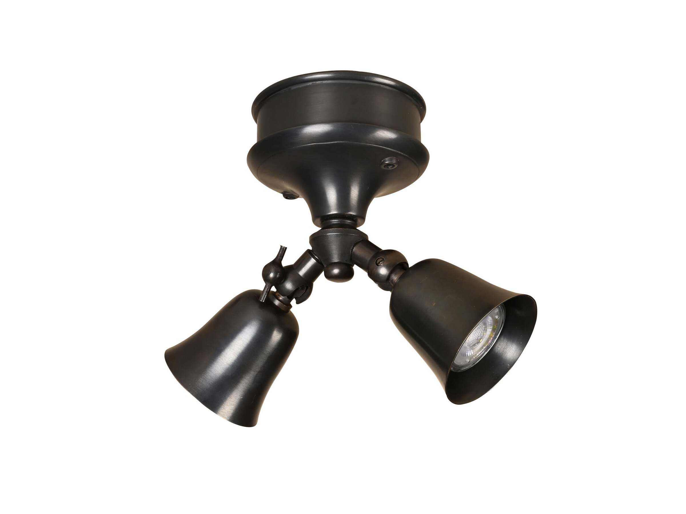 Латунь регулируемый светодиодный потолочный светильник Authentage Lighting Fleure Twin ARCH-00123881