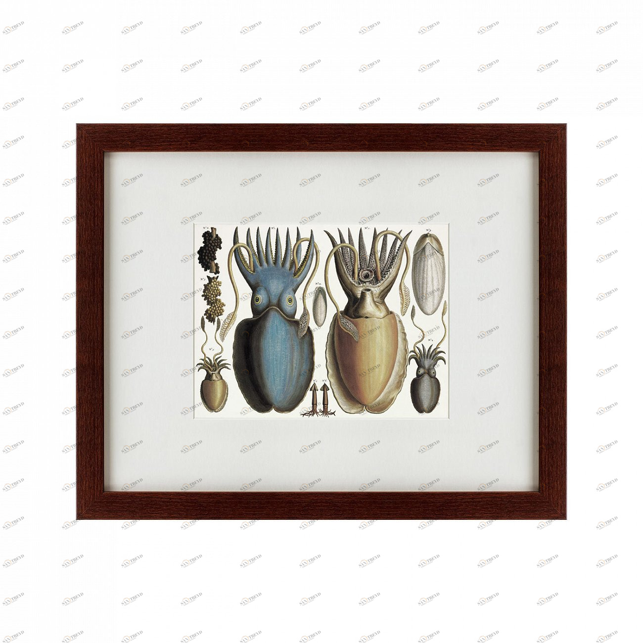 Картина: Water world, 1730 КАРТИНЫ В КВАРТИРУ  135738 Разноцветный 