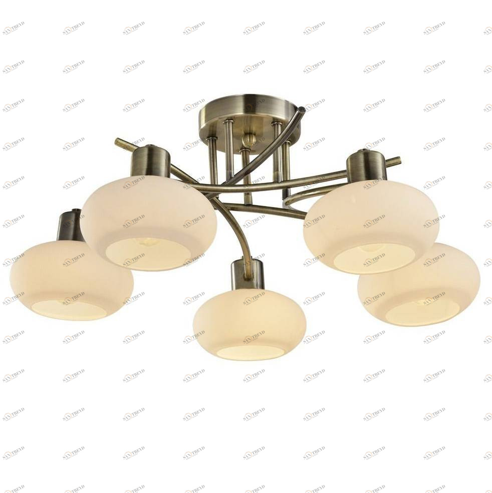 Потолочная люстра Arte Lamp 97 A7556PL-5AB ARTE LAMP ДИЗАЙНЕРСКИЕ 058547 Белый 