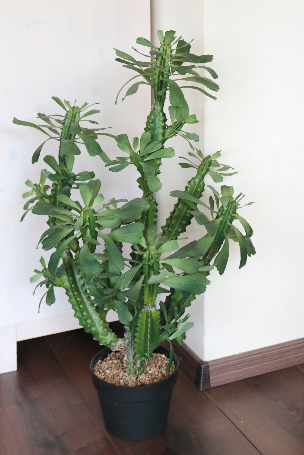 6148 883 a3 Молочай искусственный тригона, горшечный, 88 см, зеленый H-andreas  - Вид №4