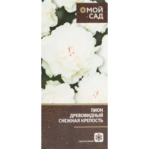 Пион древовидный привитый Снежная крепость в тубе 82539492 STLM-2017291