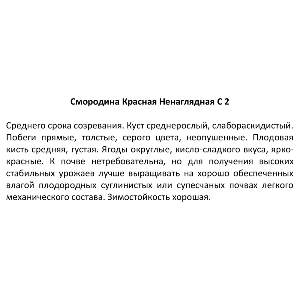 Смородина красная Ненаглядная ø17 h30 см 85325461 STLM-2193253 Santreyd  - Вид №3