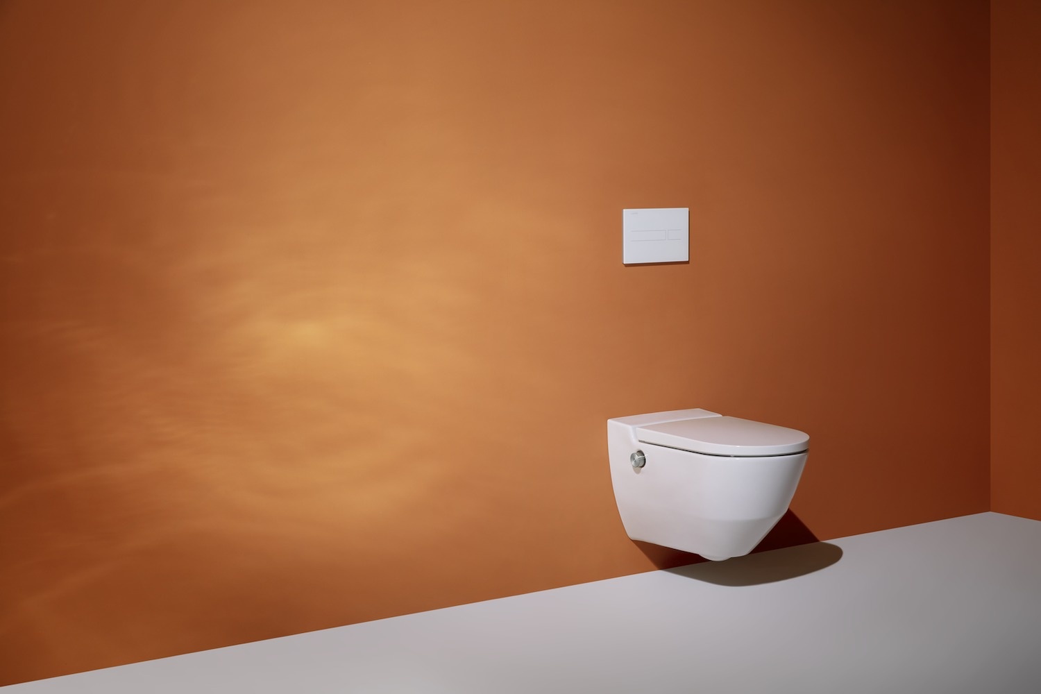 H8206017570001 Подвесной унитаз-биде, безободковый rimless, включает в комплект съемное сиденье с крышкой с механизмом "мягкое закрывание" LAUFEN PRO - Вид №48