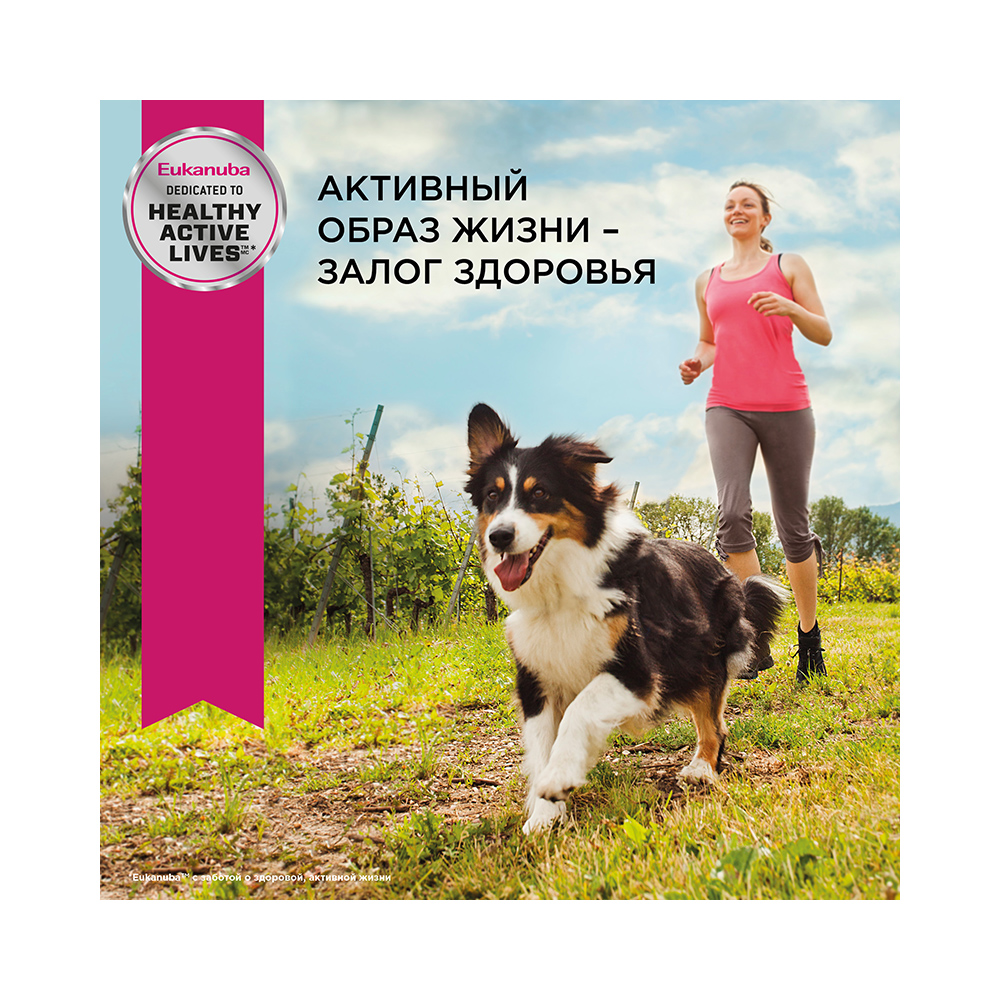 ПР0055339 Корм для собак для миниатюрных пород, курица сух. 3,5кг Eukanuba  - Вид №4