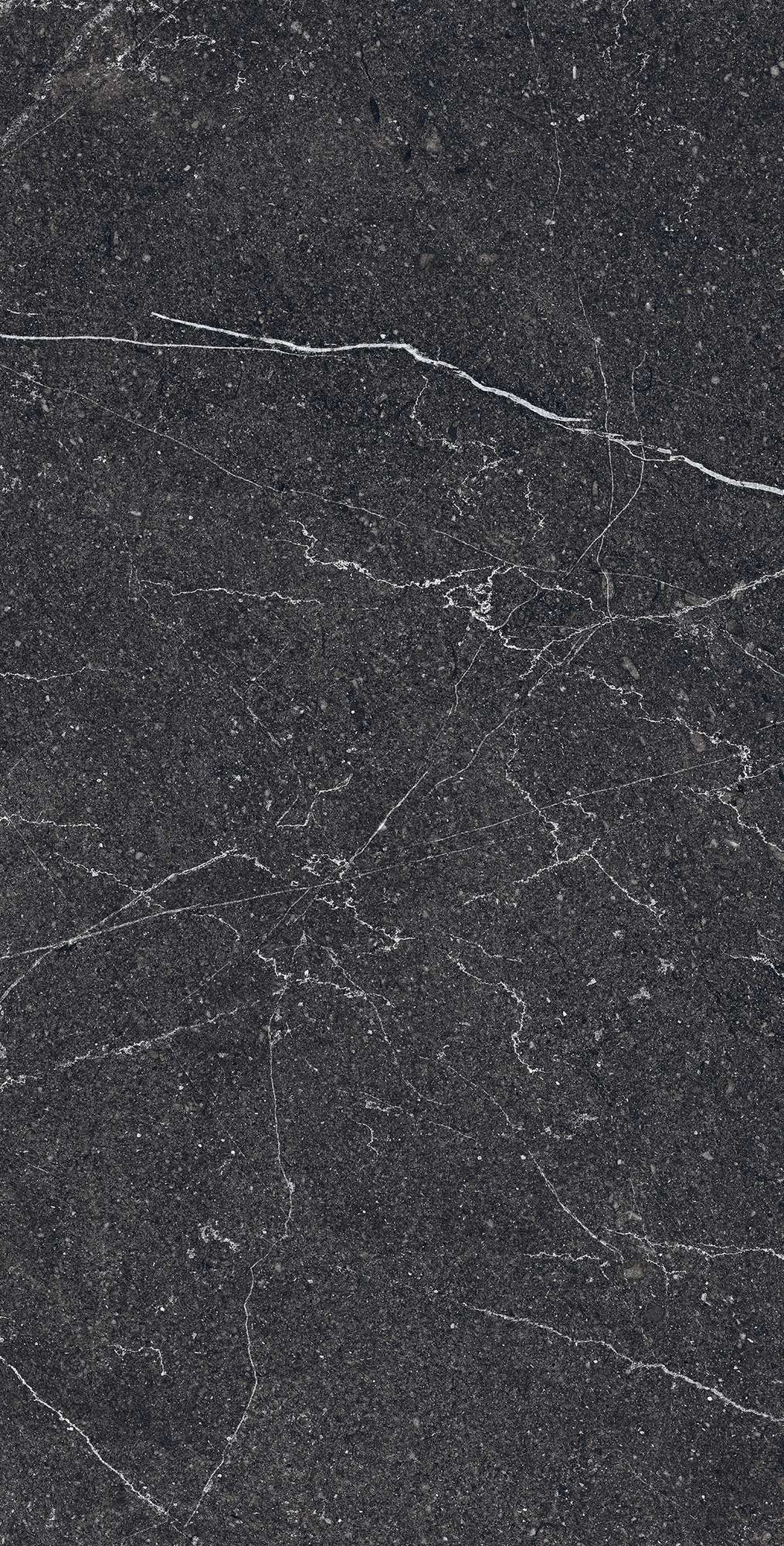 EQUISTONE CHARCOL ARCADIA CERAMICA RG6003-A - Вид №1