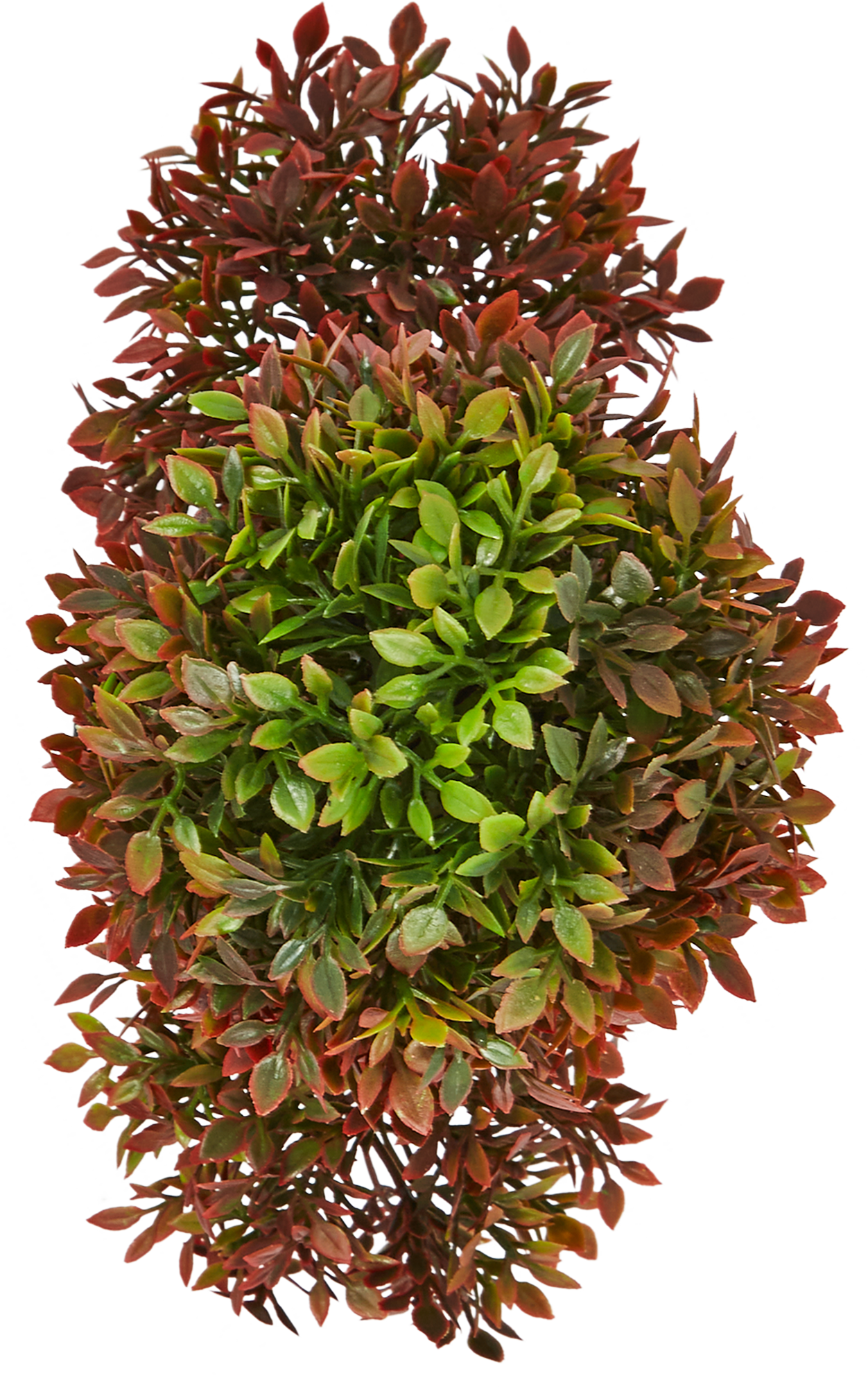 86762967 Искусственное растение в горшке Барбарис ø9 h27 см STLM-0071434 Santreyd  - Вид №1