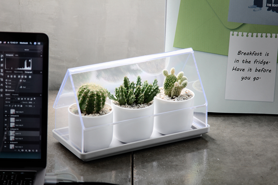 QL10310-CL-GY Лоток для выращивания растений micro green house прозрачный Qualy  - Вид №6