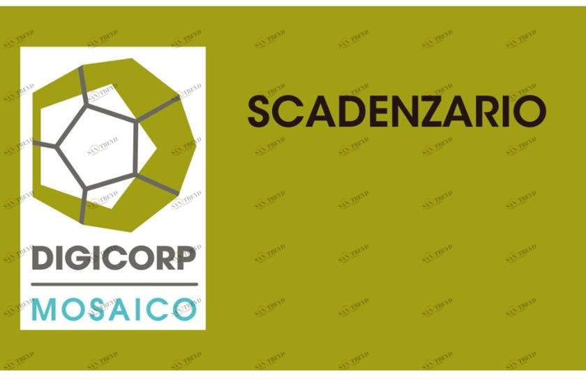 DIGI CORP Управление сроками кредитования и дебета Suitemosaico sun-id-1425913